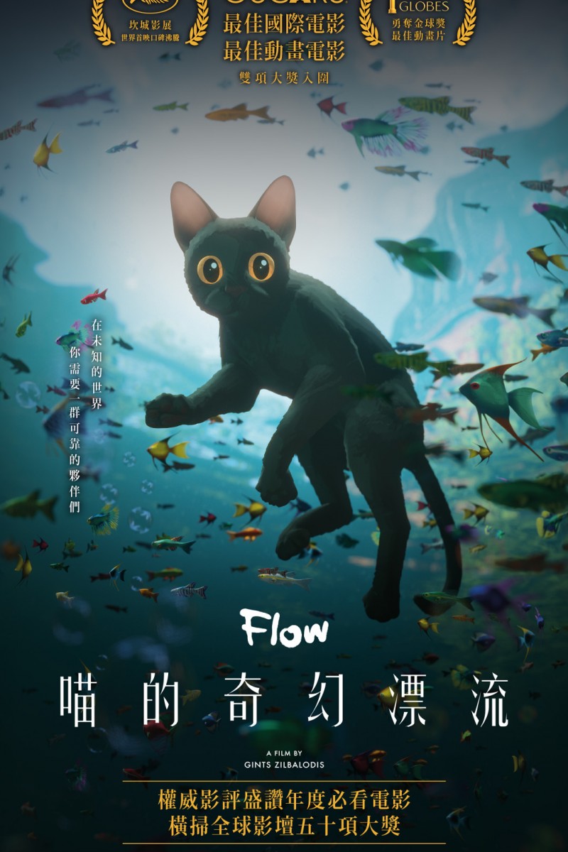 喵的奇幻漂流